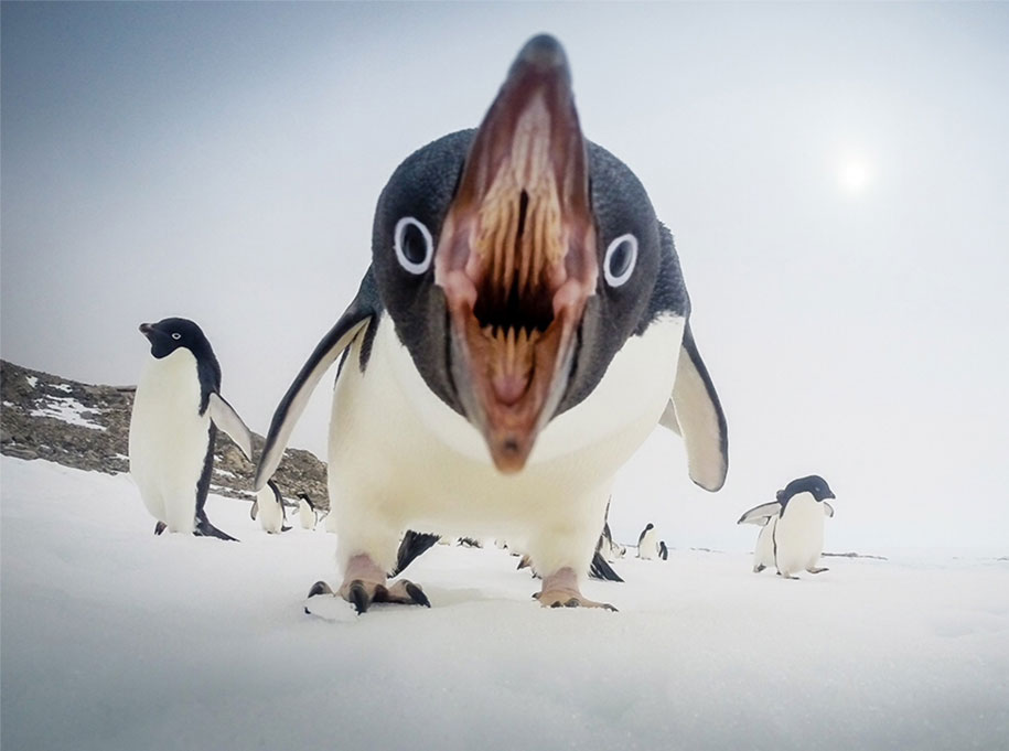 National Geographic best Photos 2015