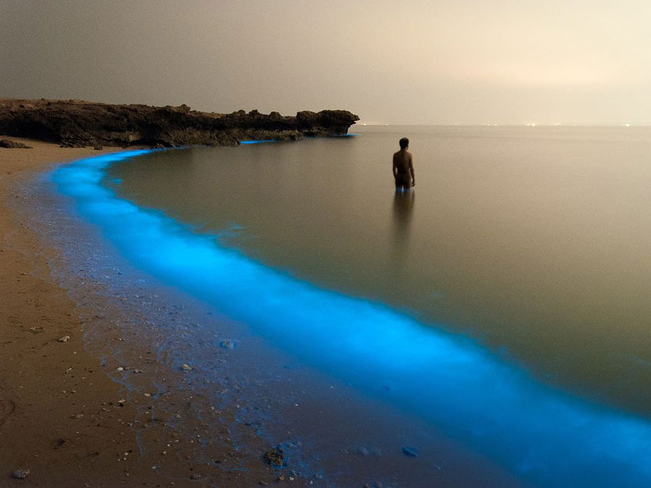 National Geographic best Photos 2015 12