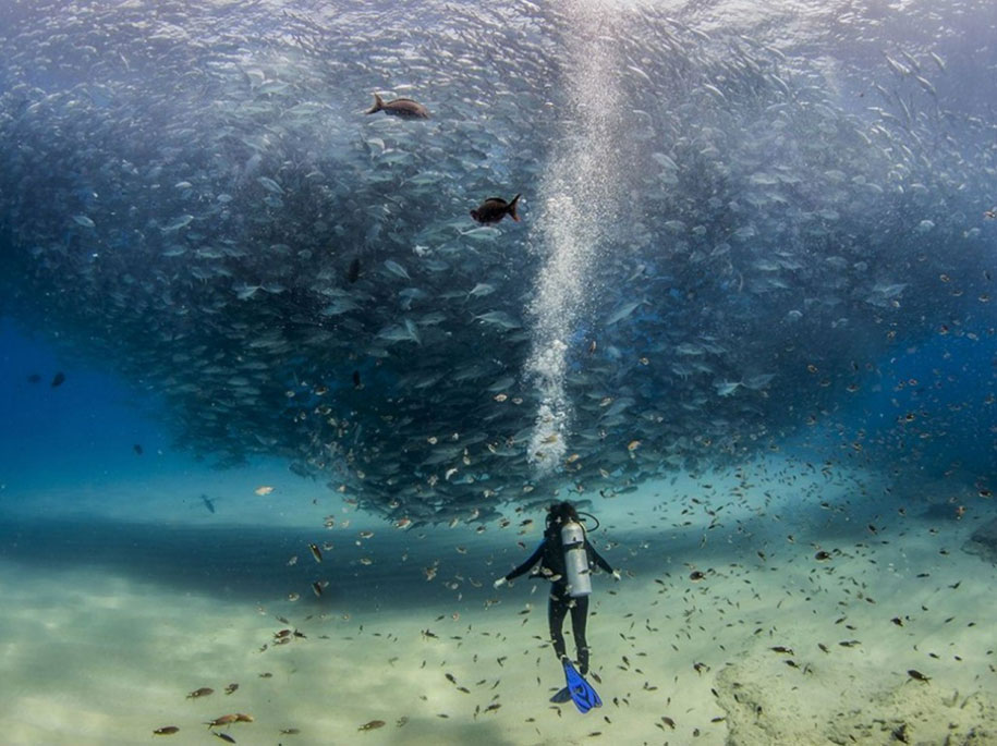 National Geographic best Photos 2015 15