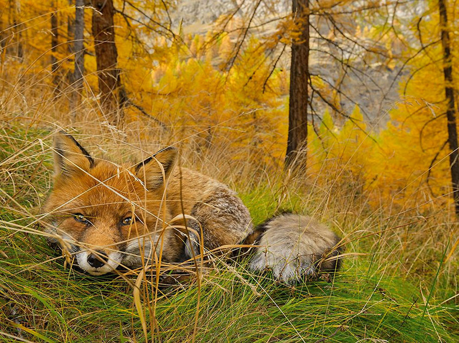 National Geographic best Photos 2015 16
