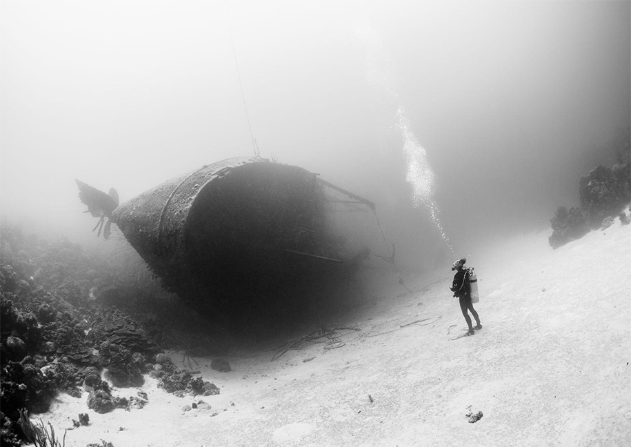National Geographic best Photos 2015 19