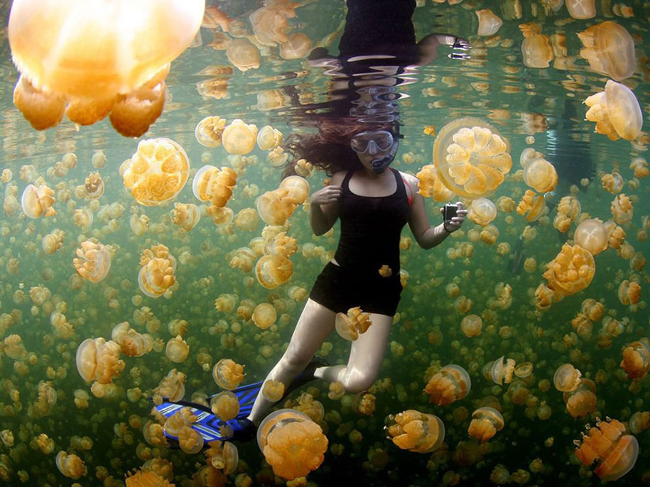 National Geographic best Photos 2015 3