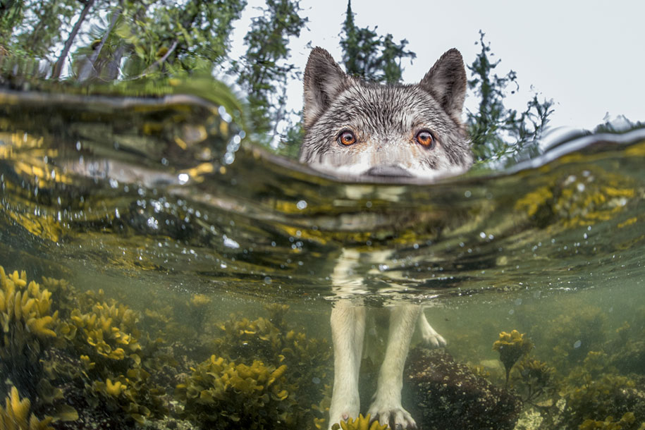 National Geographic best Photos 2015 5