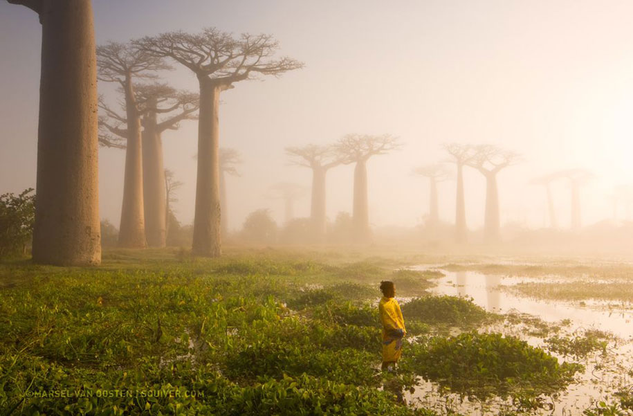 National Geographic best Photos 2015 9