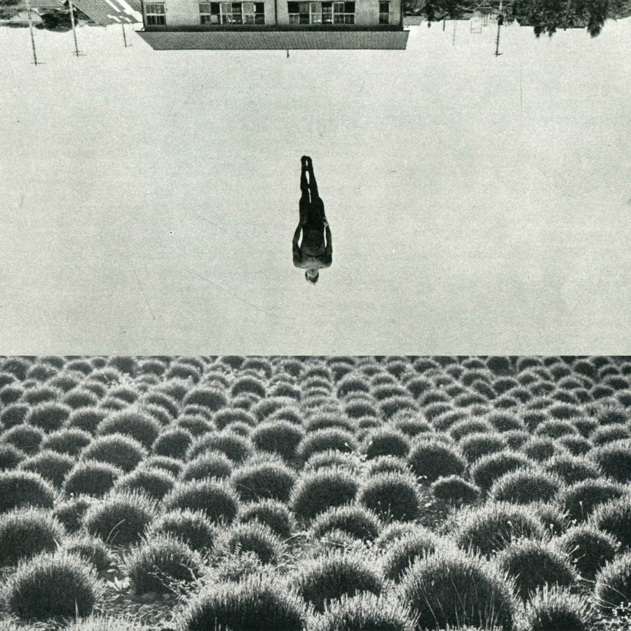 Sammy Slabbinck The Christmas Exhibition collage 12