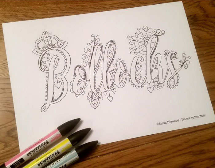 Swear Words Coloring Book6