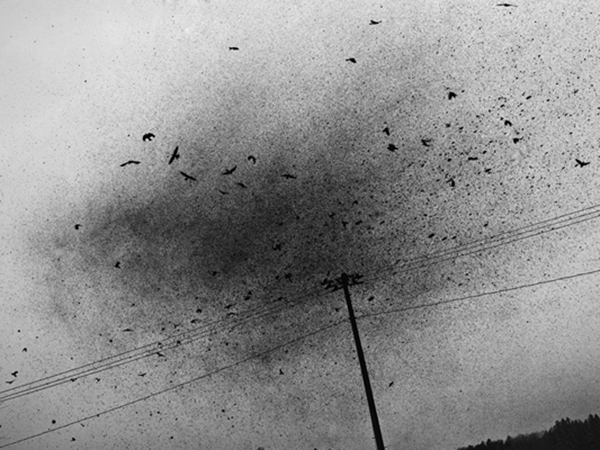Takashi Kawashima Japan photography Cultura Inquieta8