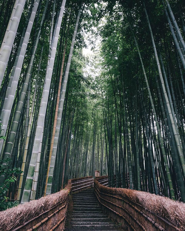 Takashi Yasui Japan landscape Japon
