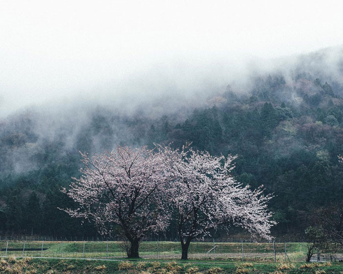 Takashi Yasui Japan landscape Japon3