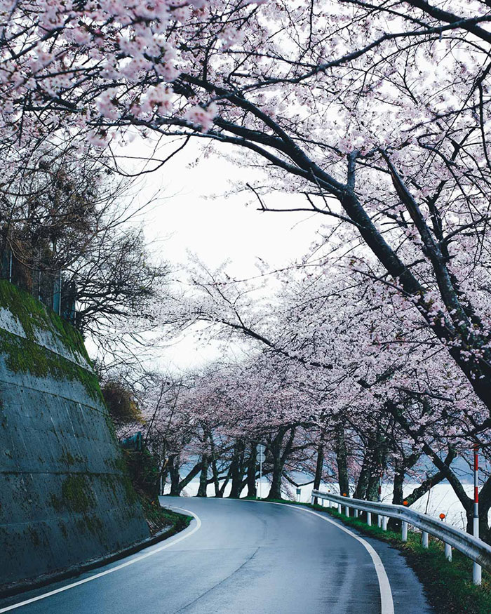 Takashi Yasui Japan landscape Japon8