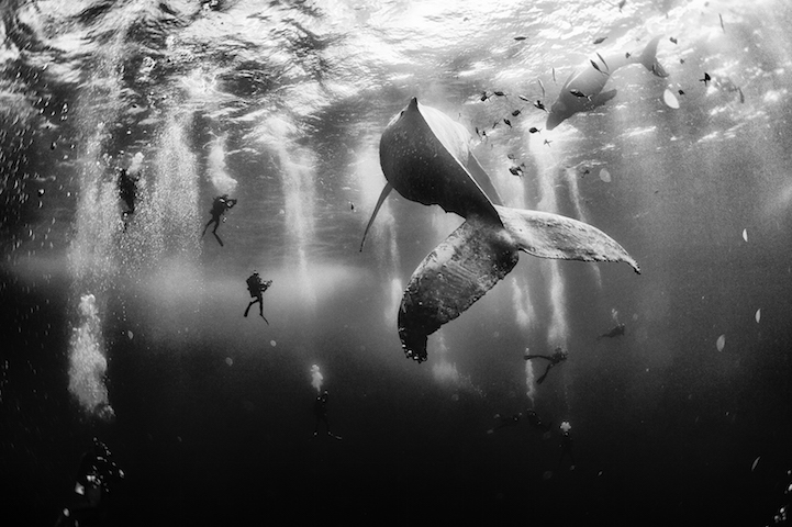 Winners 2015 National Geographic Traveler Photo Contest