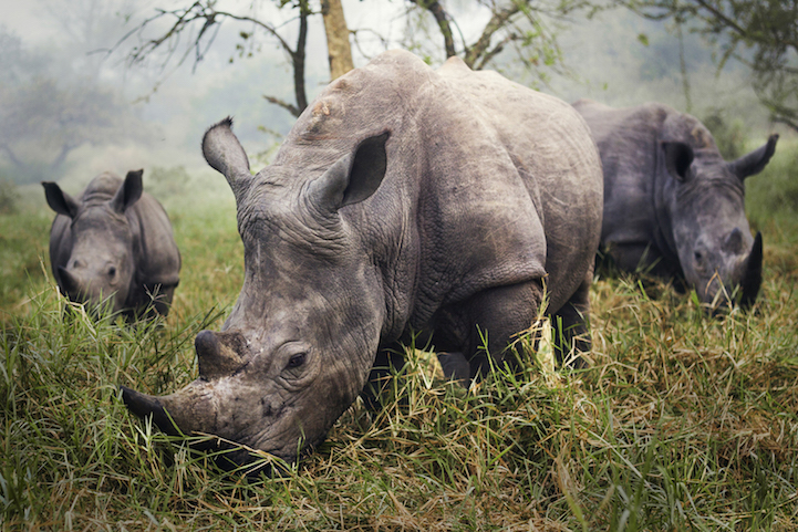 Winners 2015 National Geographic Traveler Photo Contest 7