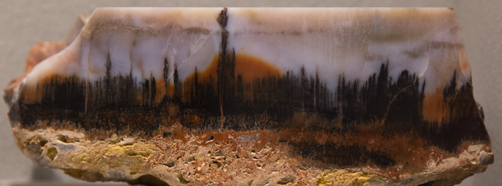 agate agata6