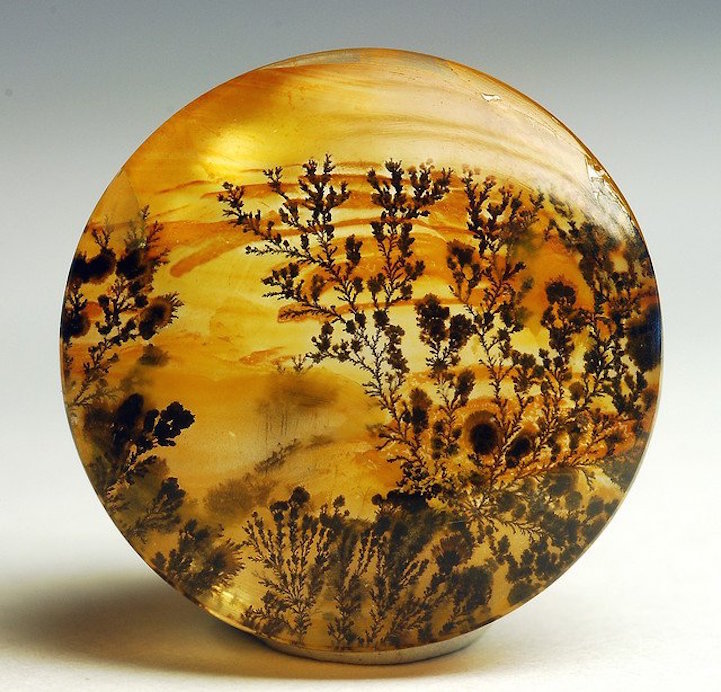 agate agata7