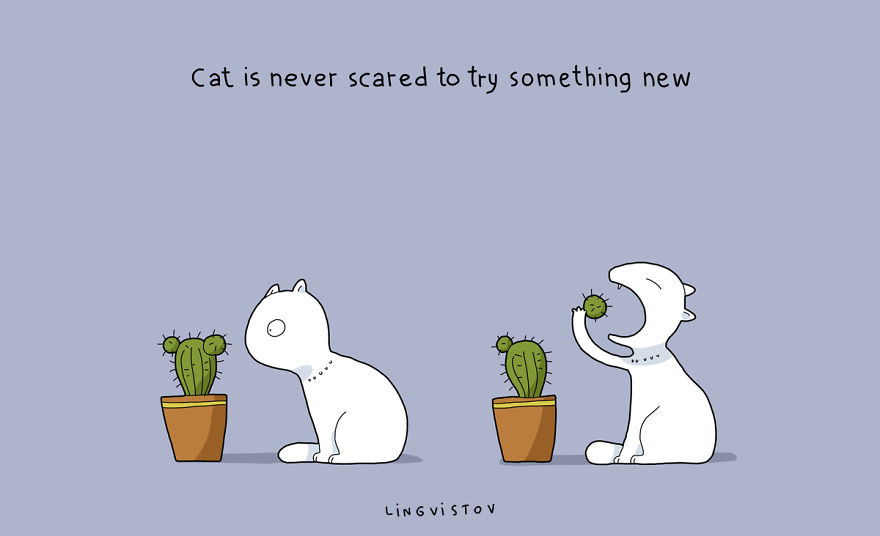 Benefits Of Having A Cat10