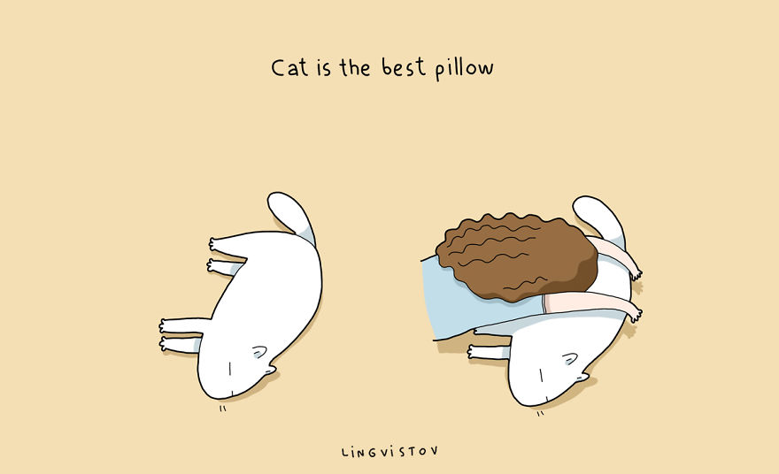 Benefits Of Having A Cat11