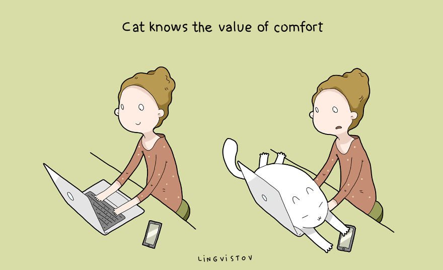 Benefits Of Having A Cat14