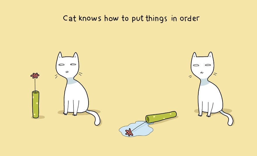 Benefits Of Having A Cat15
