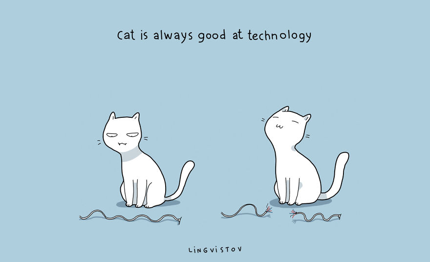 Benefits Of Having A Cat16