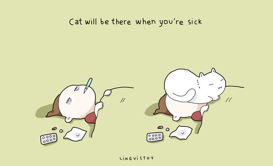 Benefits Of Having A Cat2