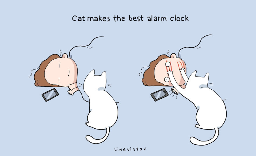 Benefits Of Having A Cat4