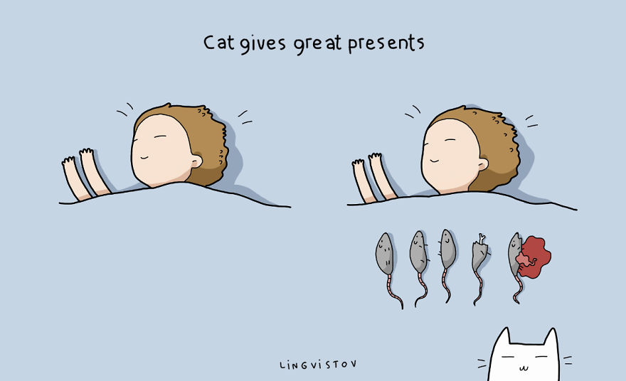 Benefits Of Having A Cat7