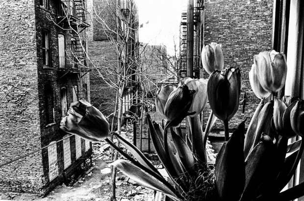 Ken Schles New York Invisible City5