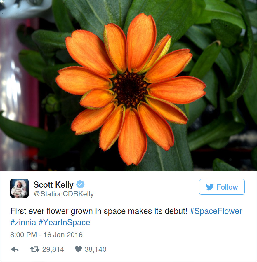 Scott Kelly flower space2