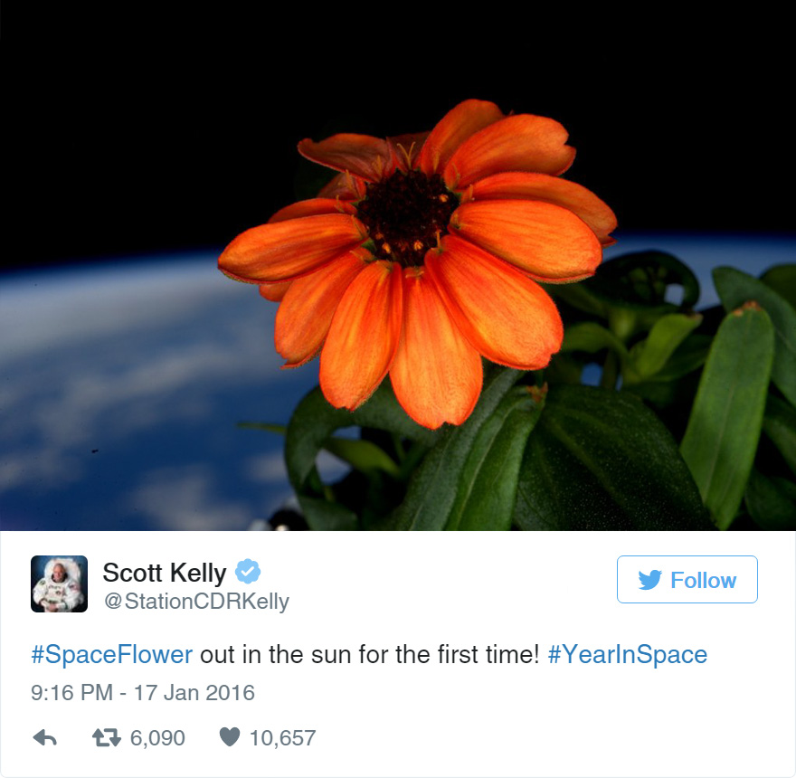 Scott Kelly flower space3