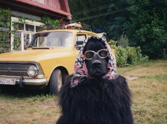the most weird strange funny photos ever11