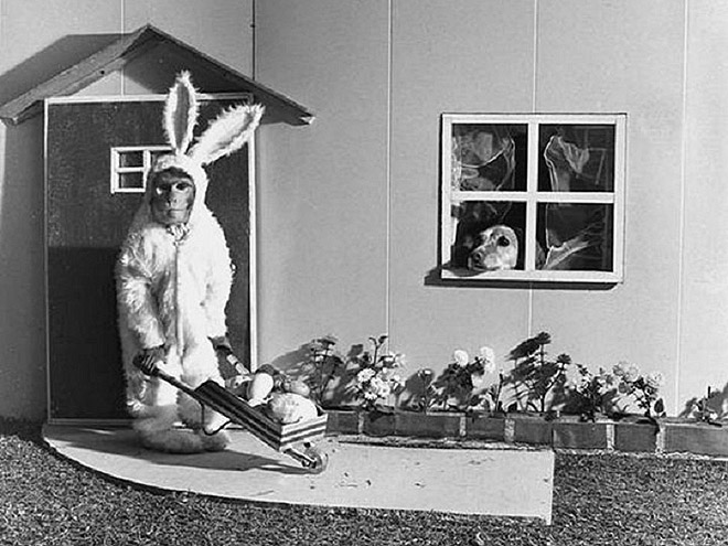 the most weird strange funny photos ever13