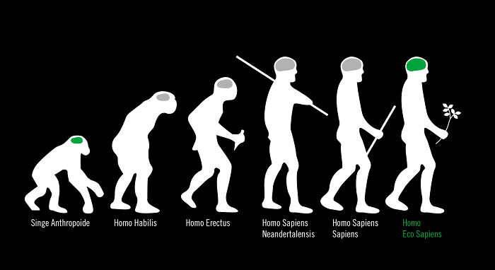 Darwin Evolution satirical illustration 18