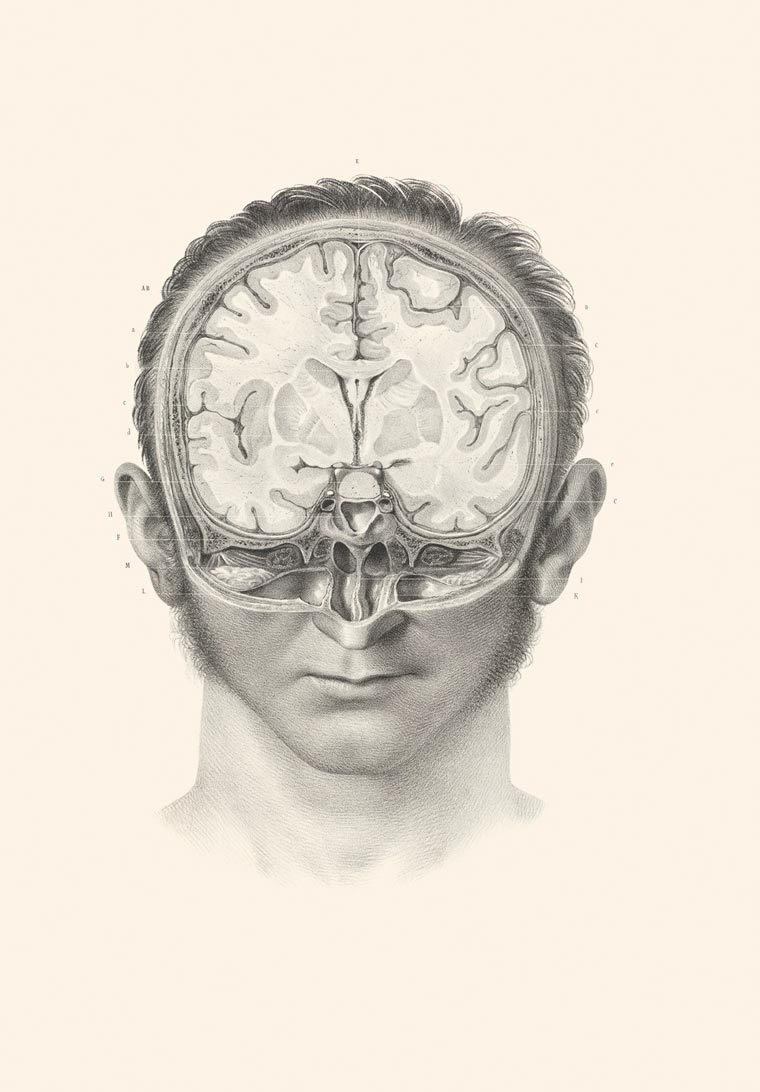 Disturbing Vintage Medical Illustrations Richard-Barnett 7