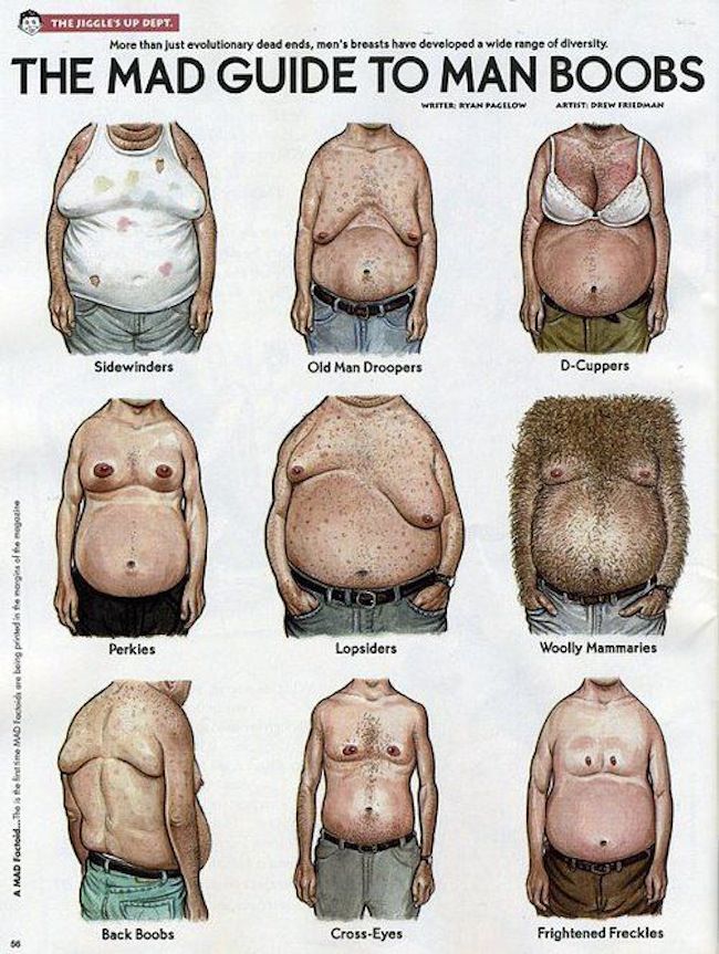Drew Friedman man boobs