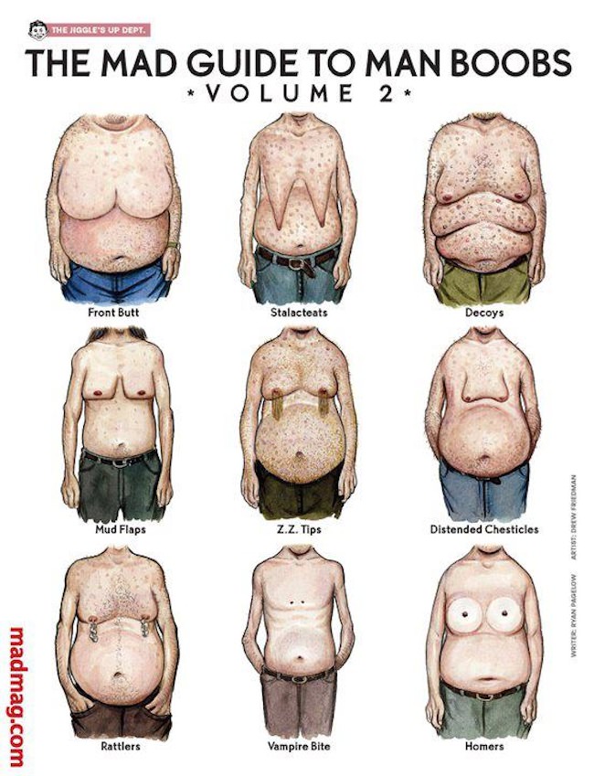 Drew Friedman man boobs2