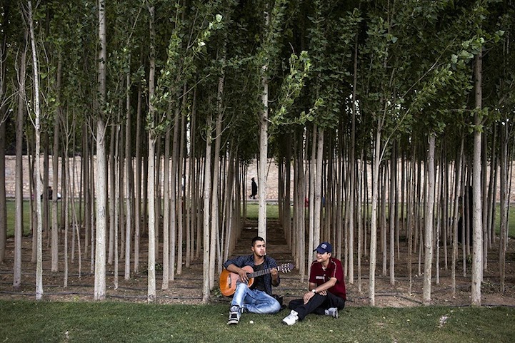 Tocando música en un parque. en Irán