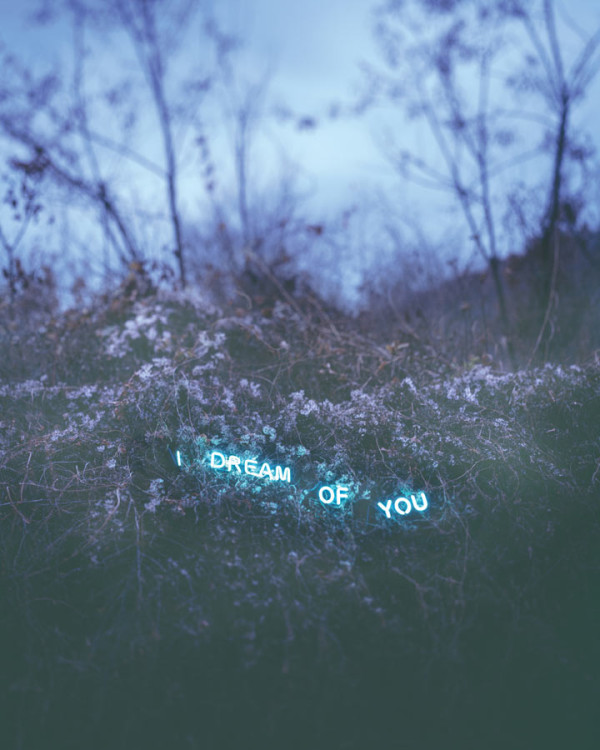 Jung Lee neon Cultura Inquieta6