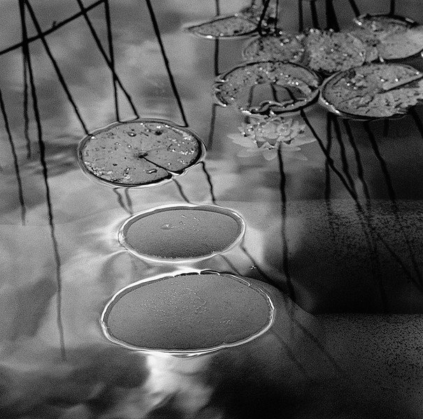 Karin Rosenthal8