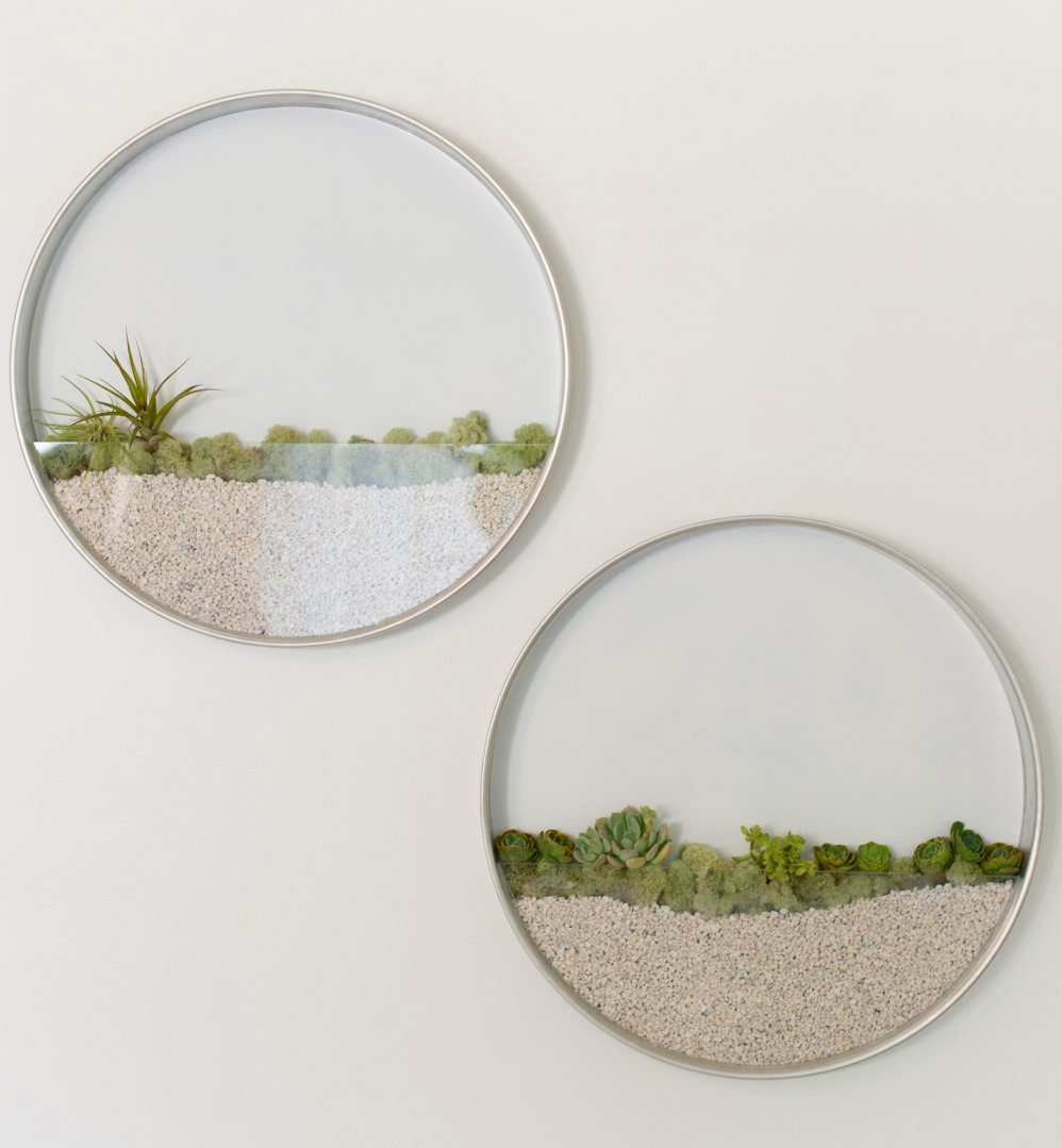 Kim Fisher plant planta pared Cultura Inquieta