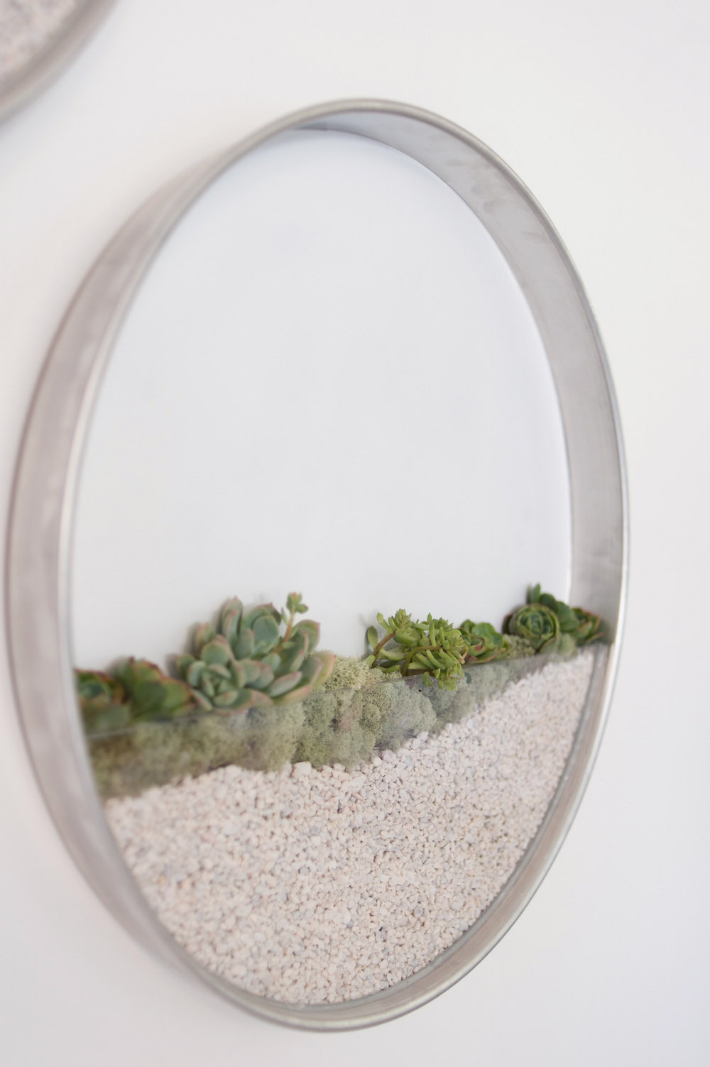 Kim Fisher plant planta pared Cultura Inquieta3
