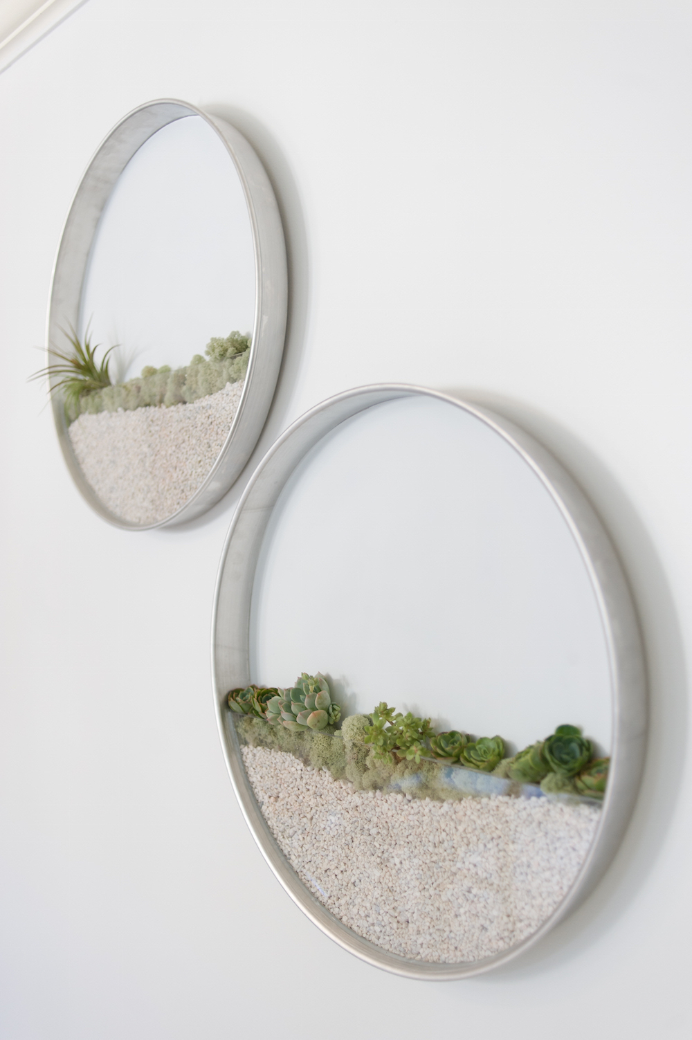 Kim Fisher plant planta pared Cultura Inquieta4