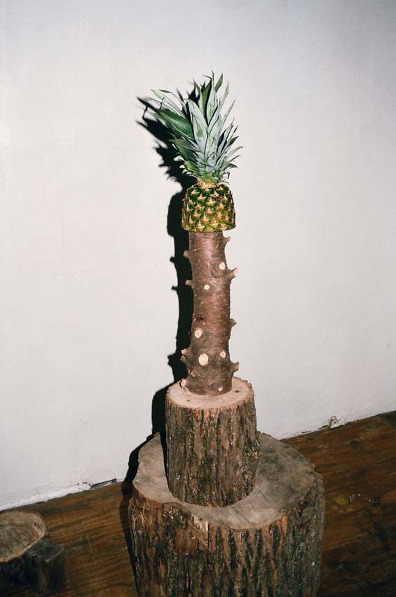 Mike Spears sexual objects provocative art