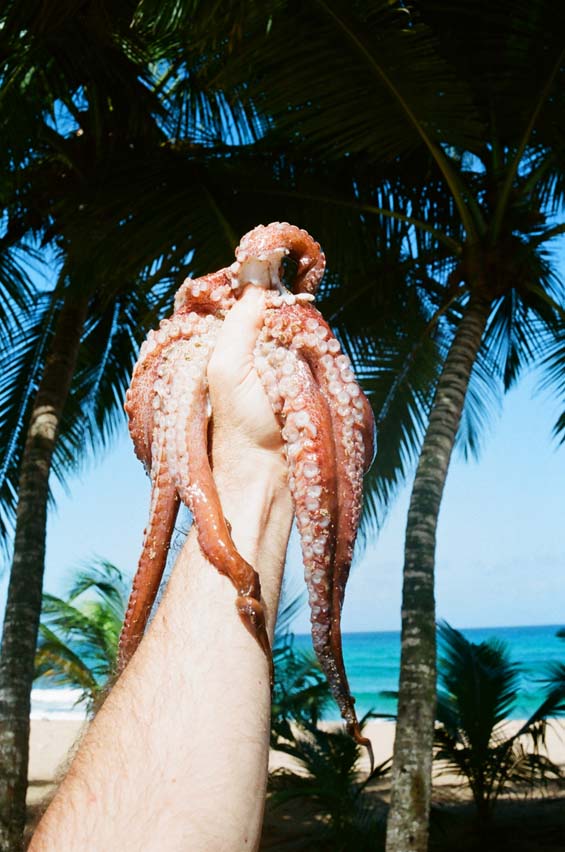Mike Spears sexual objects provocative art