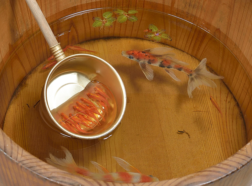 Riusuke Fukahori goldfish12