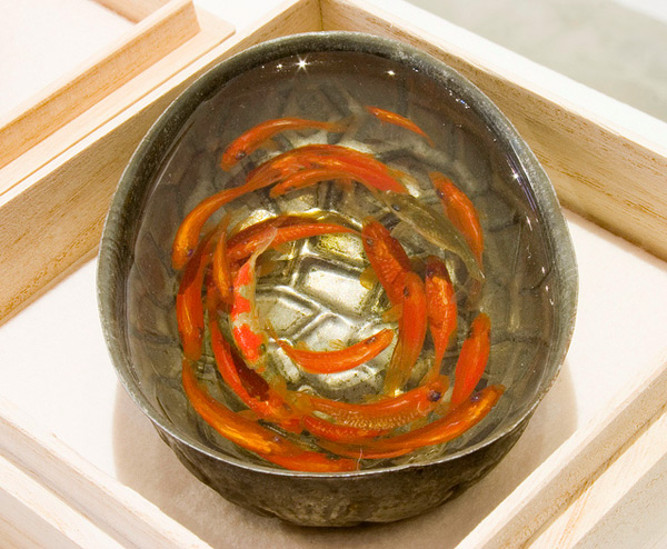 Riusuke Fukahori goldfish3