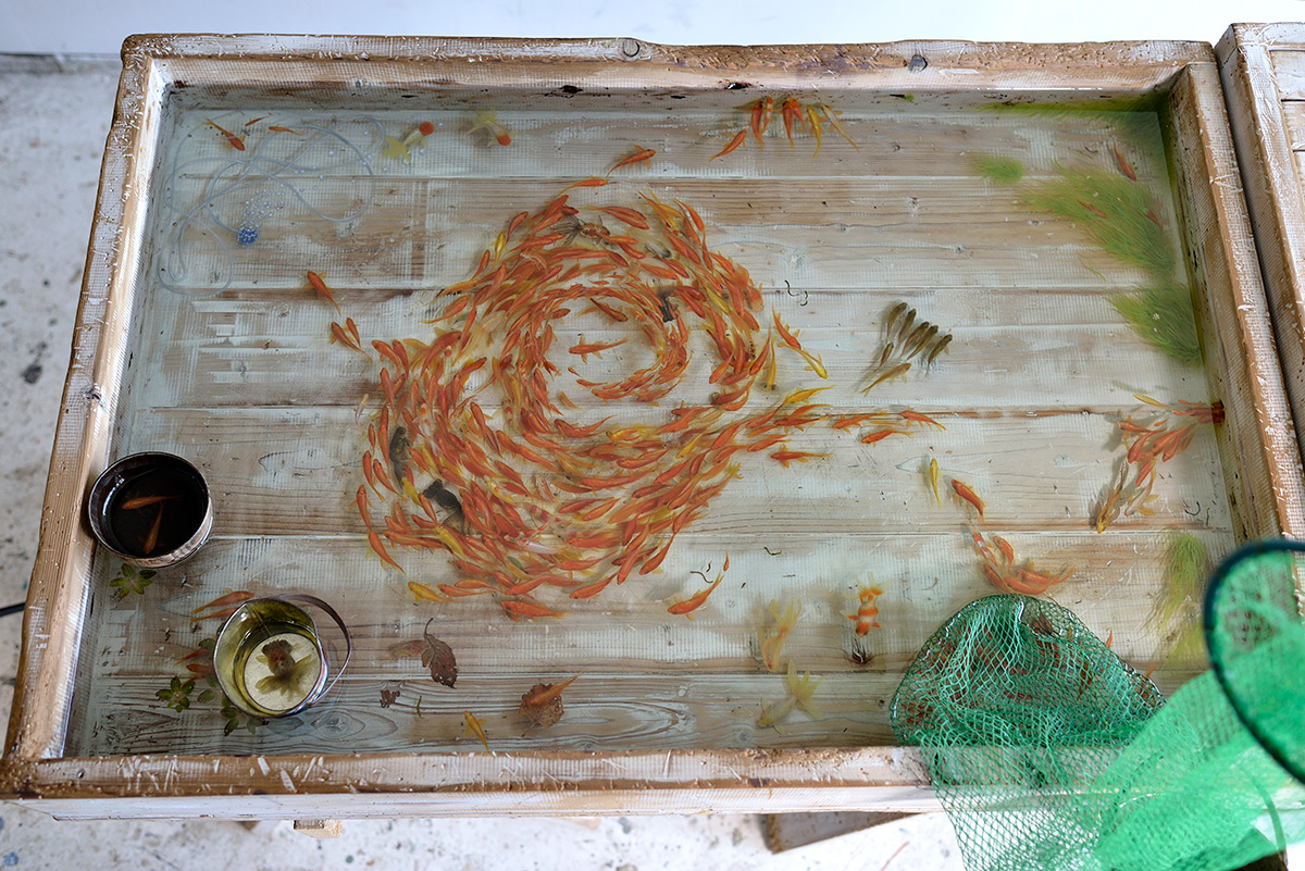 Riusuke Fukahori goldfish7