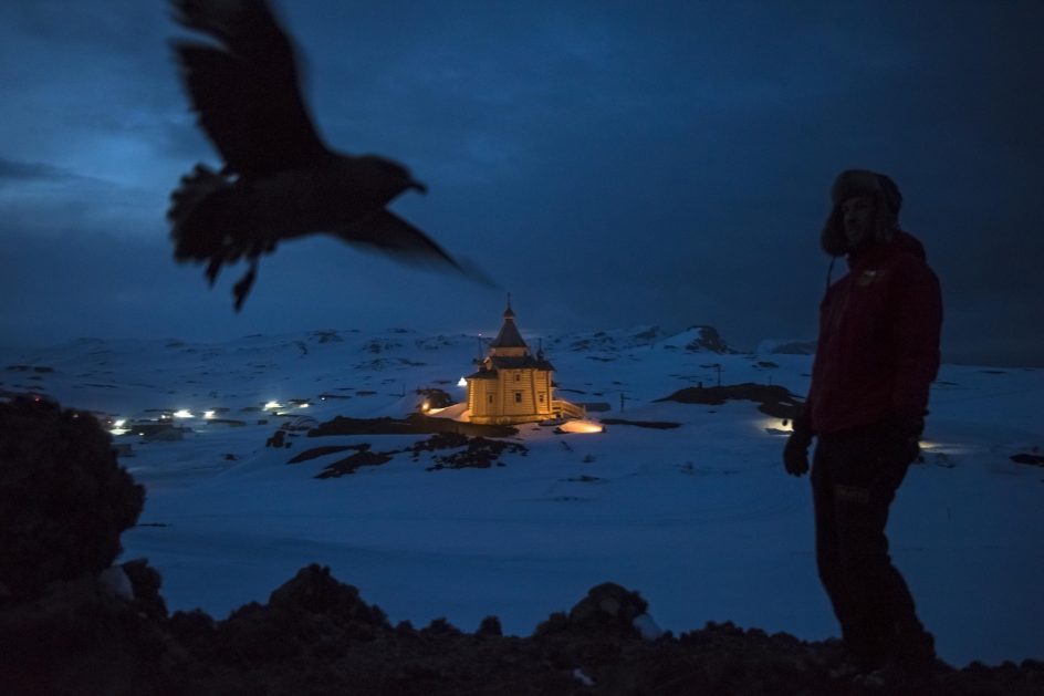 World Press Photo 20168