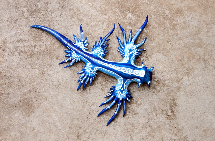 blue dragon dragon azul3