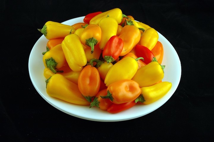 photos calories diet11