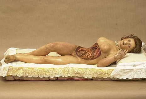 wax medical model modelos medicina Cultura Inquieta3